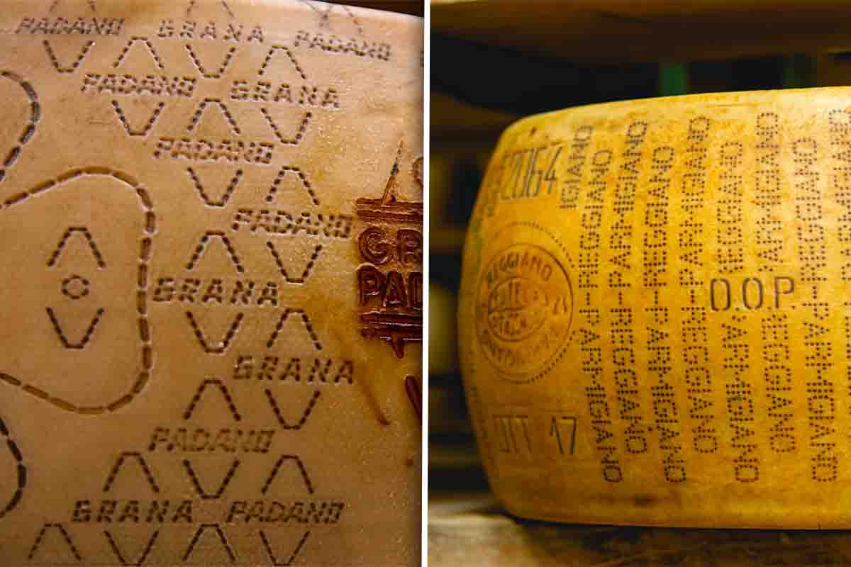 Differenze tra Parmigiano Reggiano e Grana Padano